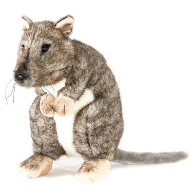 Peluche Woylie Potoroo