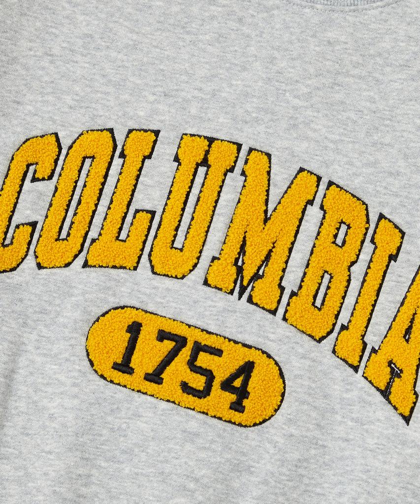 COLUMBIA UNIVERSITY 1754 Arch Boucle Fleece Crew Neck_Gray