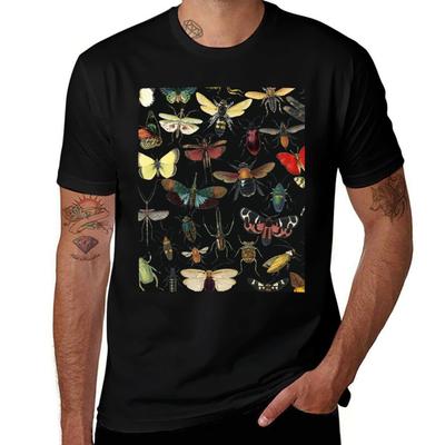 Lovely Butterfly Black TShirt Basic Solid Tee for Daily Use