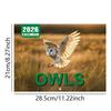 National Parks Money Smarts for Calendar Pissed-off Cats Beautiful Pictures Owls Wall Calendar High Quality Coated Paper