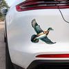 Acessórios de exterior – Adesivos para carros