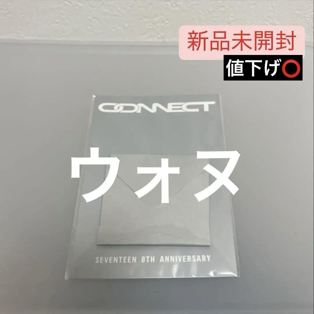 

[USED] SEVENTEEN 8th Anniversary Earrings Wonwoo