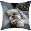1/4pcs Cute Shih Tzu Sleeping Pattern Pillowcases Sofa Cushion Cover Home Bedroom Room Decoration