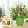 Kids' Chili Planting Pot - Primary School Gardening Kit