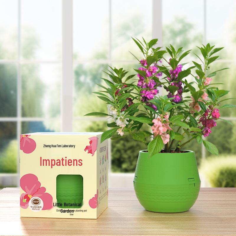 Kids' Chili Planting Pot - Primary School Gardening Kit