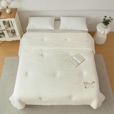 Muji Skin-Friendly Velvet Winter Duvet