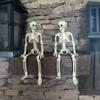 Décoration Squelette Humain en Plastique avec Articulations Mobiles, Accessoire Squelette Debout pour Fête d'Halloween à la Maison