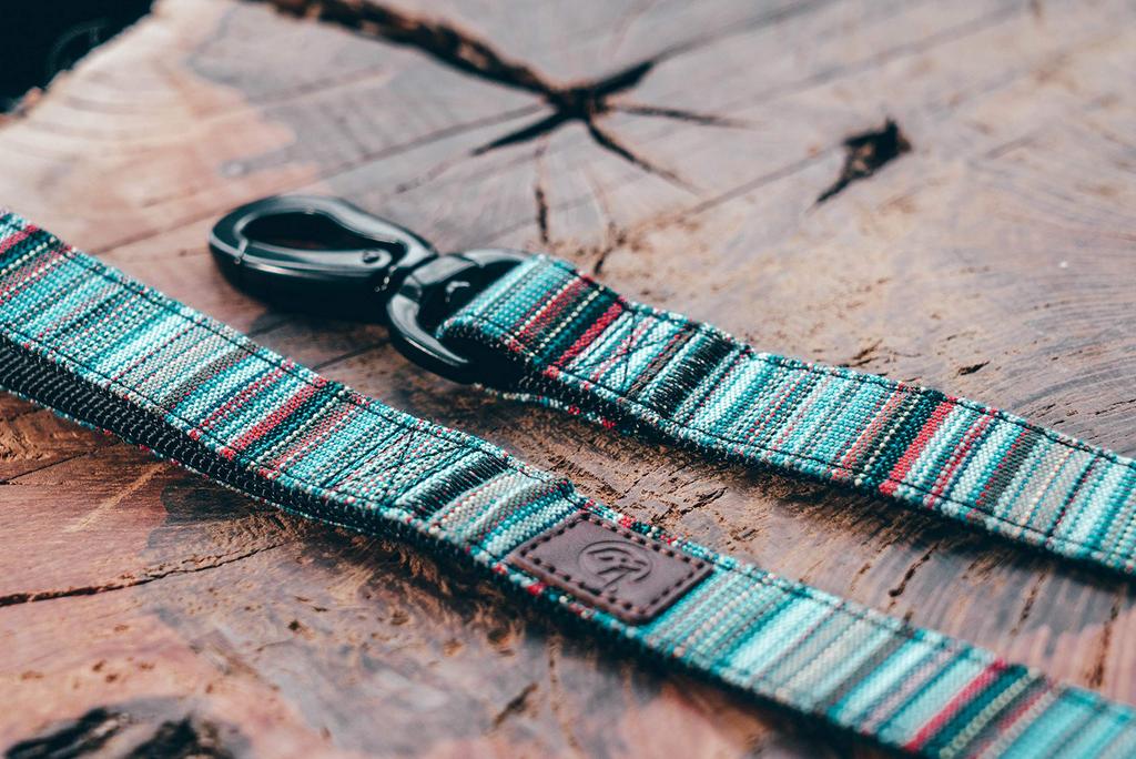 Embark Pets Urban Baja Dog Leash, 120cm x 2.5cm