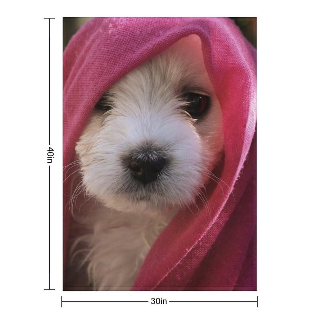 Gypsy ~ Bichon Throw Blanket Plaid On the Sofa Bed Linens Loose Blankets Ands Blankets