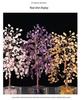 Natural Crystal Money Tree of Life Feng Shui Ornament - Ideal Housewarming Gift