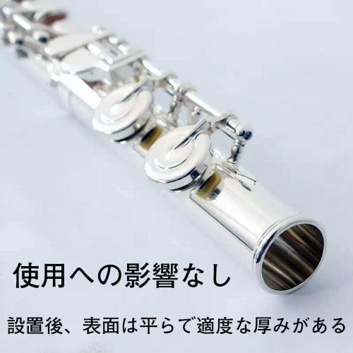 Set of 10 Flute Hole Plugs, Fits Most Flutes, Repair Parts, Plugs, Open, Rubber Flute Plugs