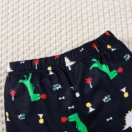 Toddler Boy Clothes Shorts Set Green Dinosaur Print Pajamas Cotton Crewneck Tees Shorts Set Summer Casual Outfit