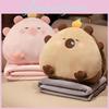 Cartoon Ball Rice 3 In 1 Capybara Pillow Air Conditioning Blanket Nap Plush Toy