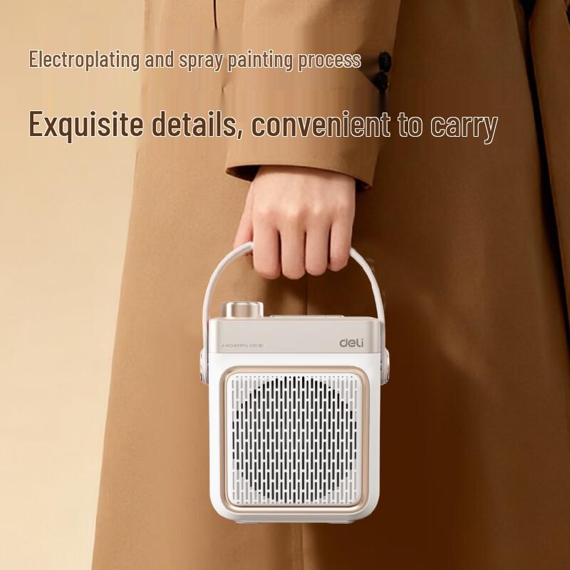 Deli LT933J 20W Portable Waist-Worn Lapel Microphone Amplifier CN plug (adapter included)