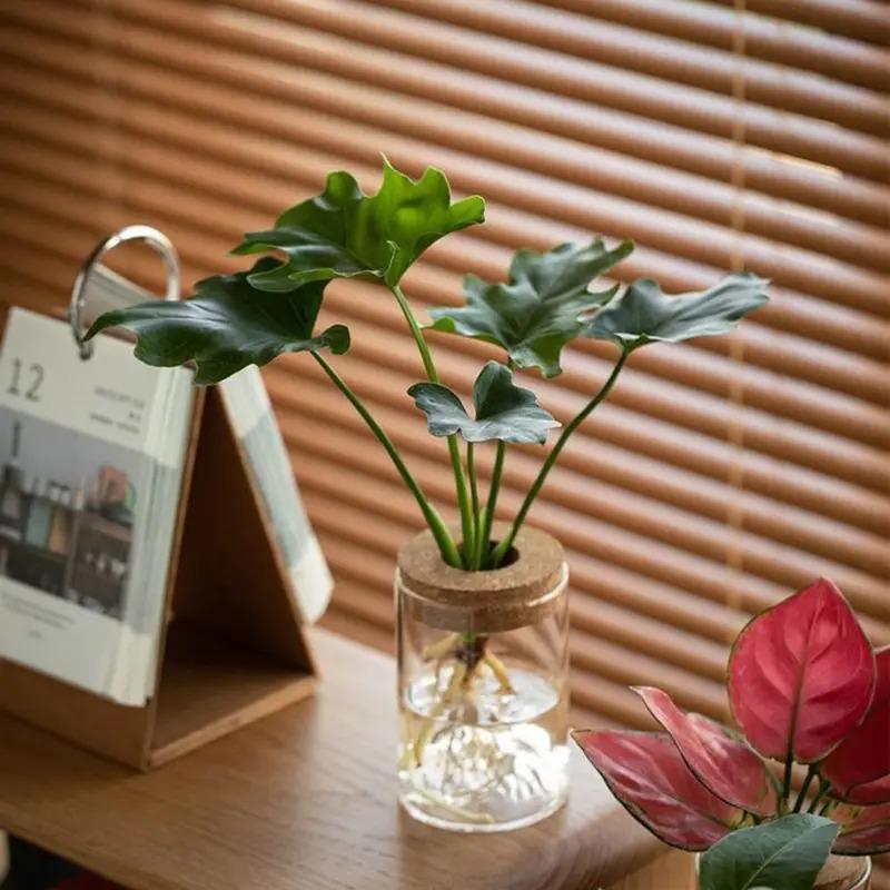 Home Decor Glass Vase, Thickened Transparent Flower Pot, Mini Creative Mountain View Bottle Small Flower Pot