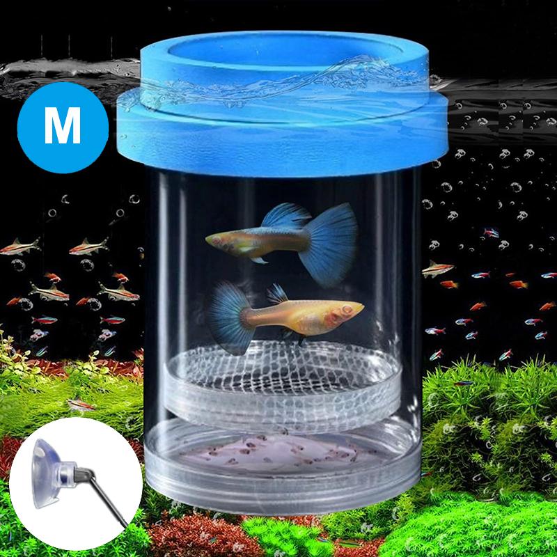 Sturdy Isolation Box for Fish Breeding; Equipped with Suction Cups; 270° Flowing Water for Optimal Propagation.