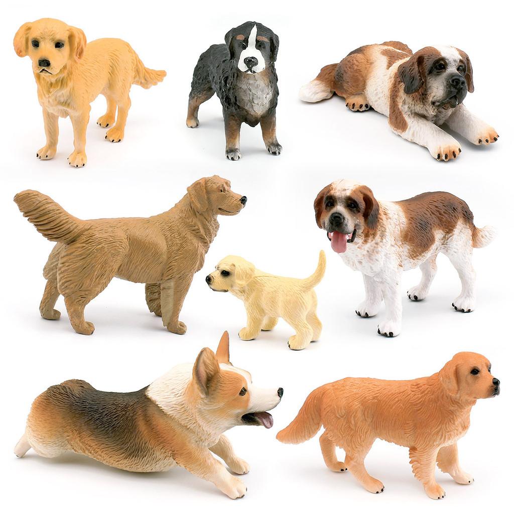 Captivating Golden Retriever Corgi And Saint Bernard Models Perfect For Pet Enthusiasts