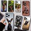 Uroczy Russkiy Toy Terrier Etui na Telefon Silikonowe Miękkie Dla IPhone 17 16 15 14 13 12 11 X XR Plus Pro Max Plus
