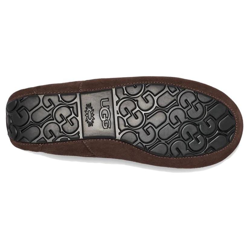 UGG Ascot Slipper Dusted Cocoa 1101110-DDC