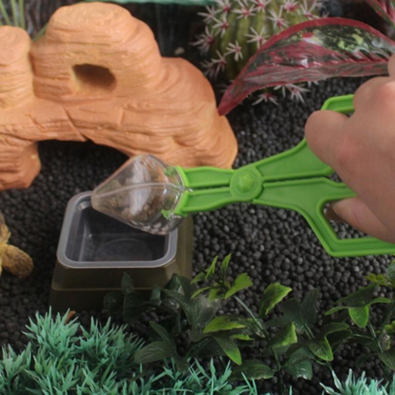 Plastic Insect Capture Tongs For Reptiles Care Feeder Pliers Clear Ergonomic Tool Gentle Feeding Solution Easy Cleaning