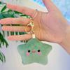 Five-Pointed Star Plush Bag Charm & Keychain - Cute, Girlish Heart Accessory for Backpacks