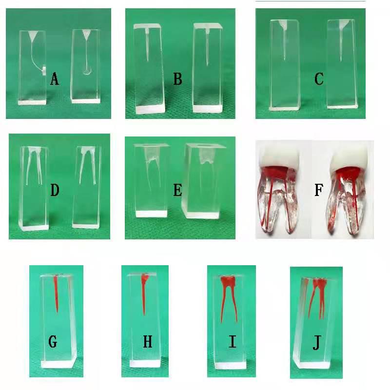 Human Skeleton Model with 6 Major Joints: Knee, Foot, Hand, Shoulder, Elbow, and Hip