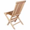 Folding Garden Chair 2 Pcs Natural Solid Wood Teak