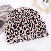 Thicken Leopard Jacquard Unisex Beanies Trendy Autumn Winter Warm Hat Hip Hop Vintage Knit Hats for Women Men CLE
