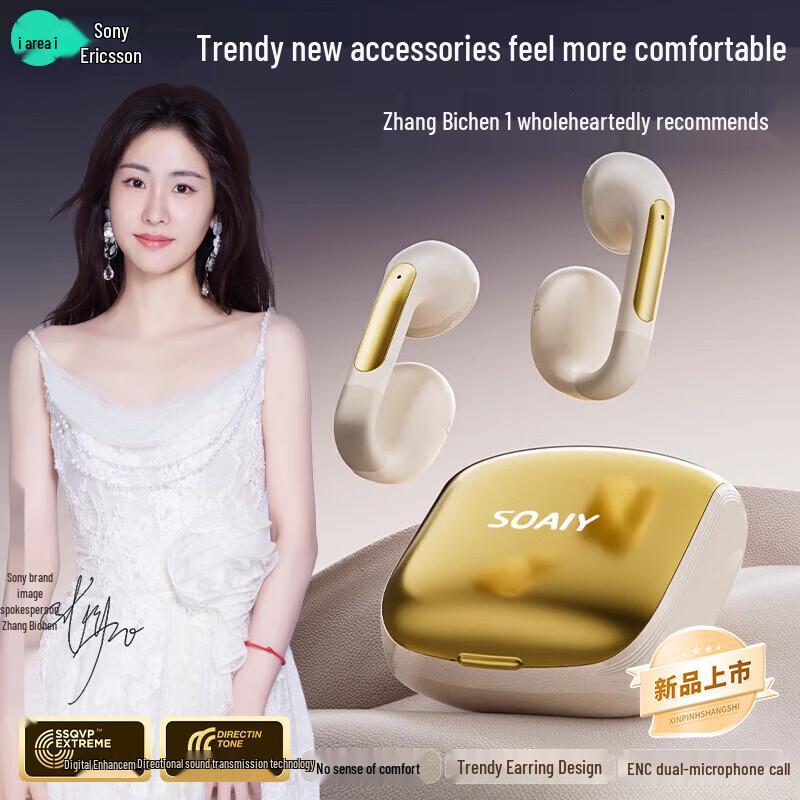 

Souai GK12 SE True Wireless Open-Ear Earbuds