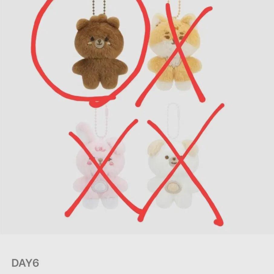 Pretty Room Unopened Denimals Day6 Day 6
