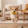 Hund Federball Kauspielzeug Welpen Zahnungsspielzeug mit Glocke Tischtennis Schläger Hund Leckerli Spender Interaktives Apportierspielzeug für Draußen Spiel Training