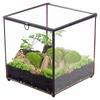 Geometric Flower House Flip-Top Jewelry Storage and Decorative Box with Preserved Flowers