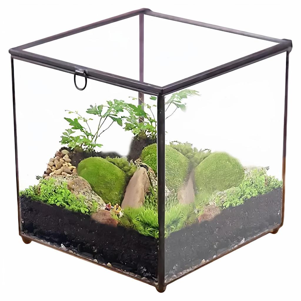 Geometric Flower House Flip-Top Jewelry Storage and Decorative Box with Preserved Flowers