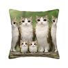Funny Smiling Meowl Cat (2) Pillow Case Morden Pillow Cover Design Pillowcases For Sofa Bedroom Home Decor