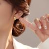 Banyan Tree S925 Silver Brushed Matte Square Earrings - Women's Trendy All-Season Accessory