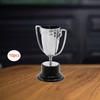 10 Mini Trophies for Adults And Children, Portable, Gifts Awards