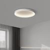 Smart Full Spectrum Ceiling Light for Living Room, Bedroom & Study - Modern Eye Protection Design