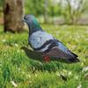 Ornaments Yard Art Decor Pigeon Sculpture Realistic Wild Pigeon Decorations Acrylic Pigeon Statues