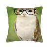 Pillow Cover Cat Owl Funny   Vintage Pillow Case For Chair Sofa Home Decor Pillowcases