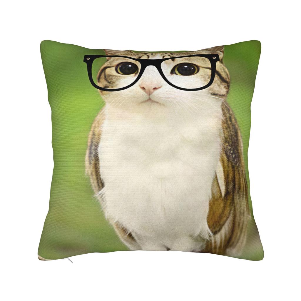 Pillow Cover Cat Owl Funny Vintage Pillow Case For Chair Sofa Home Decor Pillowcases