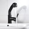 Xuanyong Black Bathroom Swivel Pull-Out Faucet