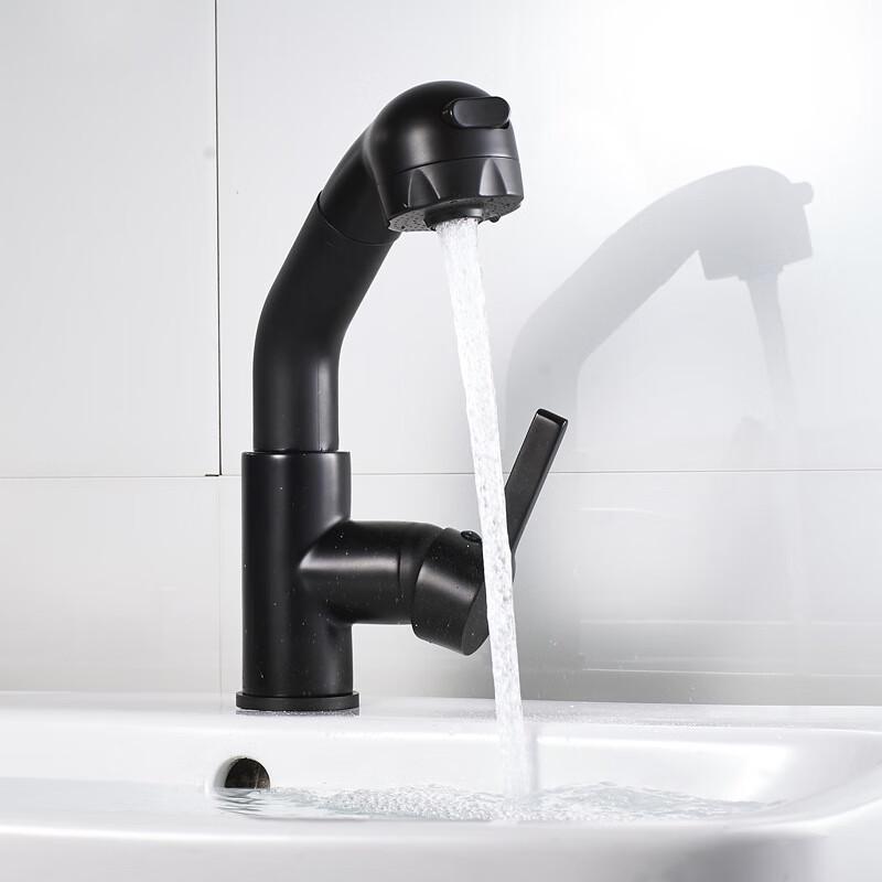 Xuanyong Black Bathroom Swivel Pull-Out Faucet