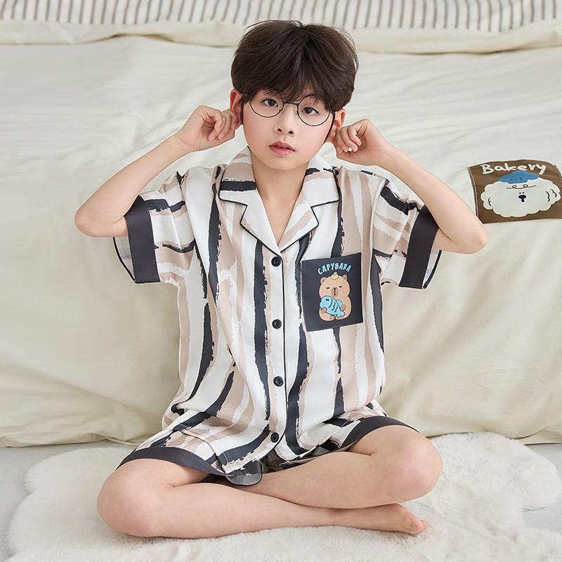 Boys 2026 Short Sleeve Pajamas Set Cartoon Ice Silk Thin Loungewear Kids