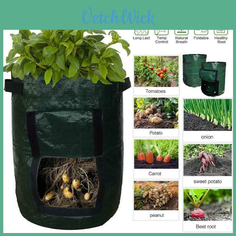 Practical And Lightweight Garden Plant Tools For Homegrown Food On Balconies And Patios