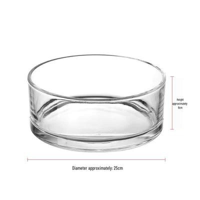 Hydroponic Glass Vase