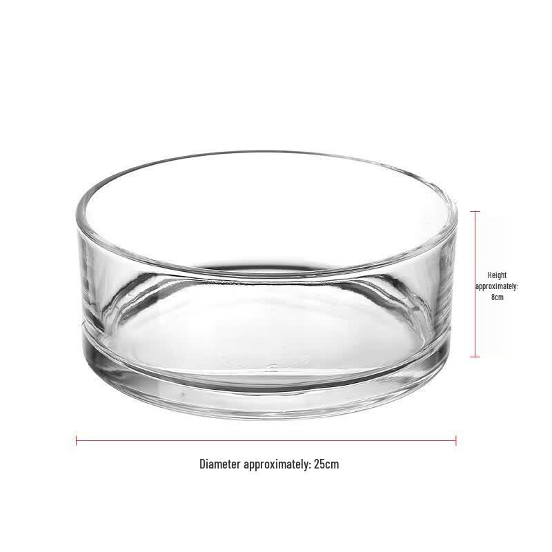 Hydroponic Glass Vase