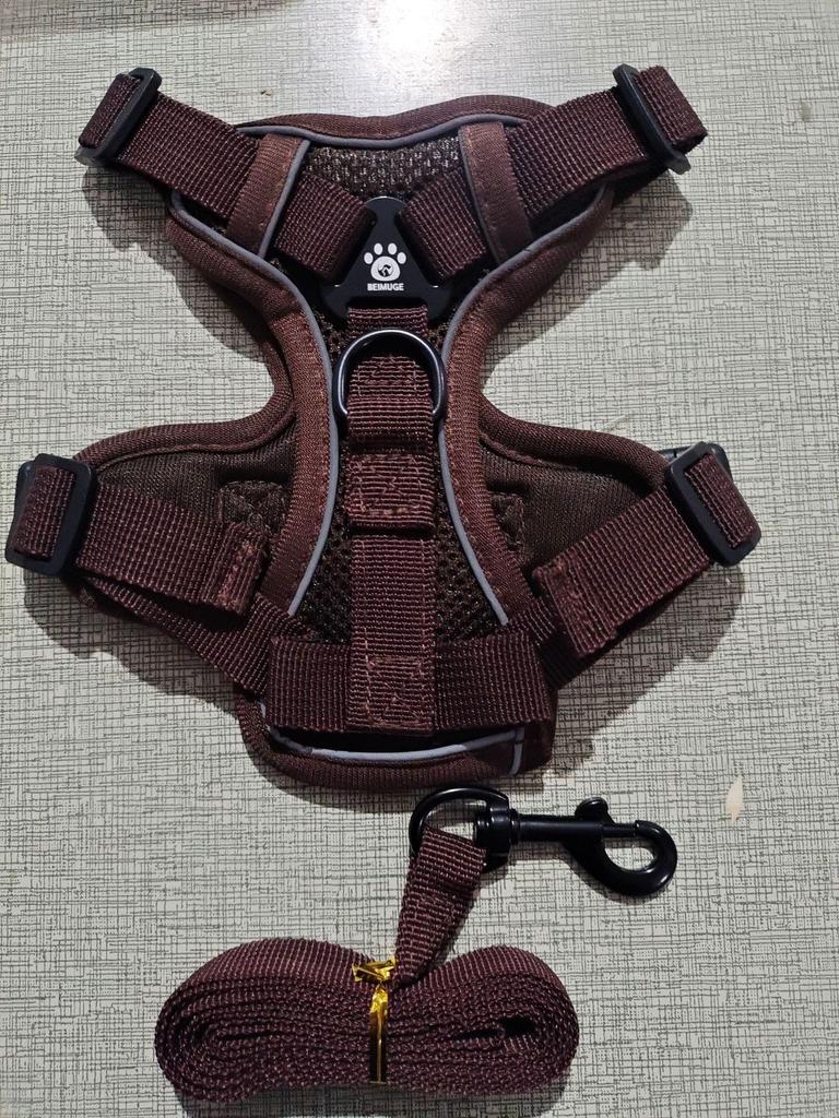 Reflective Vest-Style Cat Leash & Breathable Harness for Small/Medium Pets