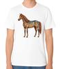 Blumiges Pferd Kunst T-Shirt Dekomuster Pferdeliebhaber Geschenk Unisex Tee