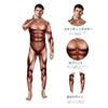 ChicFlow Halloween Muscle COS Stage Performance Funny 3D Print Tights Costume, One-Piece (3 Styles)