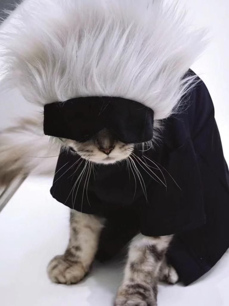 Jujutsu Kaisen Gojo Satoru Domácí oční maska potřeby kočka cos pokrývka hlavy klobouk dekorace ozdoba hlavy foto pes paruka Animace periferní